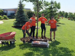 Photos Submitted Tree Huggers – Members of ‘Team Depot' from Orangeville Home Depot pose with a tree in the Friendship Gardens at Headwaters Health Care Centre. More than 60 Home Depot volunteers took part in a massive gardening and patio/pergola build at the hospital last Wednesday.